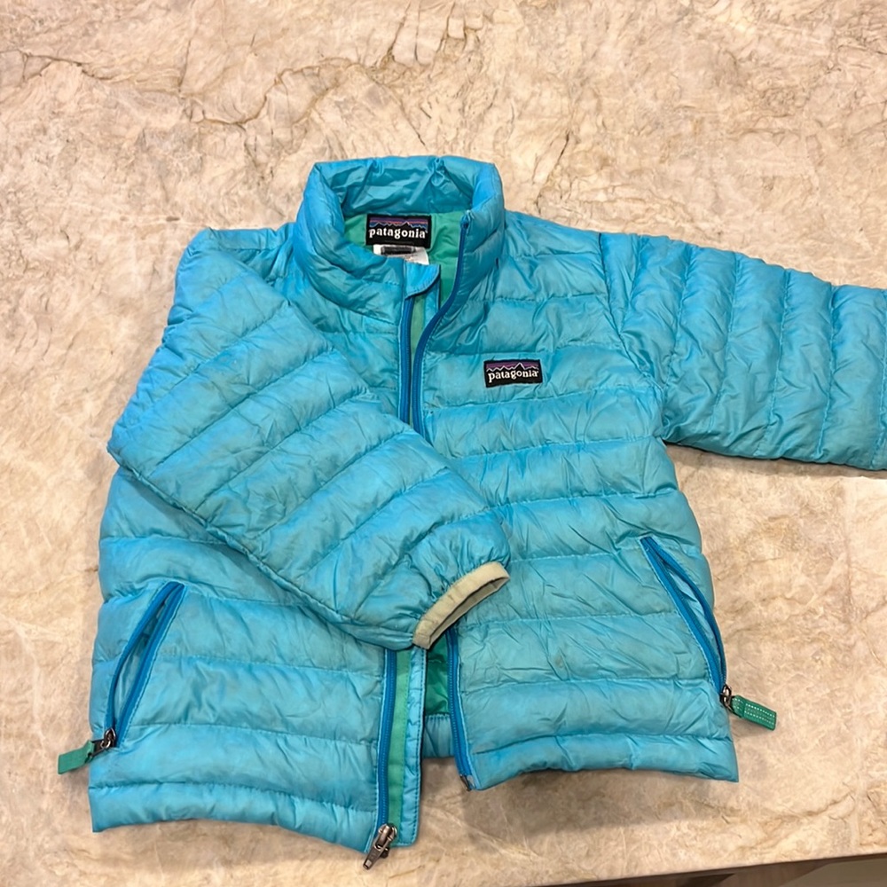 Patagonia puffer